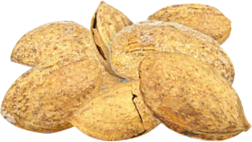 ALMOND-SHELLS-1.png