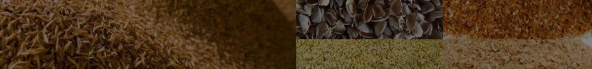 Grains-Texture-1.png